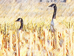 geese-sketch