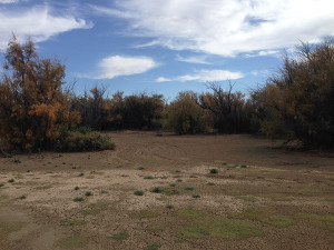 salt-flats-2
